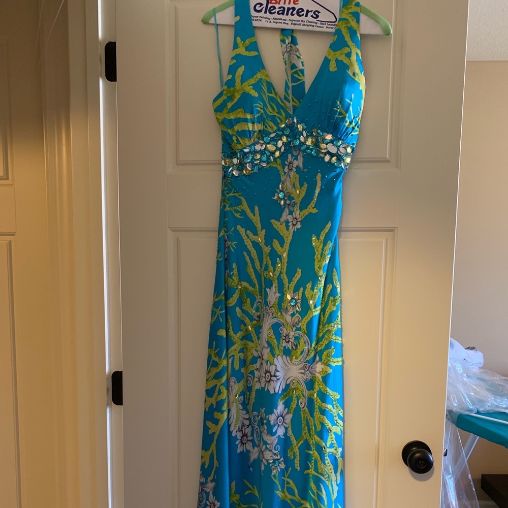 Cache Fun prom Dress - Picture 2 of 4